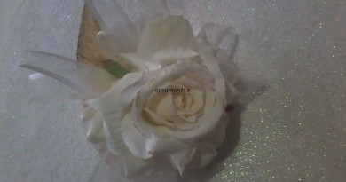 26171325_820214778161322_1040725363971894280_o