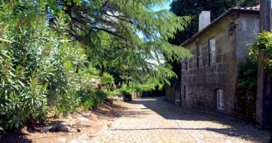 263068_10150231614321243_3017614_n[1]