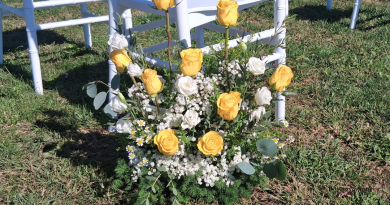 Instagram Post Promoção da Semana Desconto Progressivo Moderno Preto e Verde - 2025-11-14T115913.577