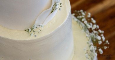 0db627b2-f6ca-4d0b-9116-4c5e807dba3c