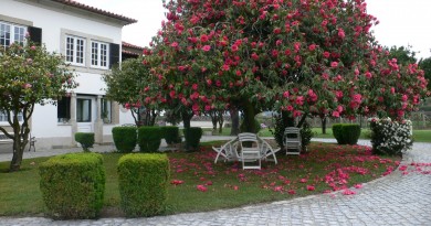 Jardim